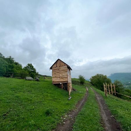 Alereks Mountain Camping Tumanyan Eksteriør bilde
